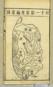 The liver in a Chinese woodcut from the Ming (1368-1644 CE), from wellcomeimages.org